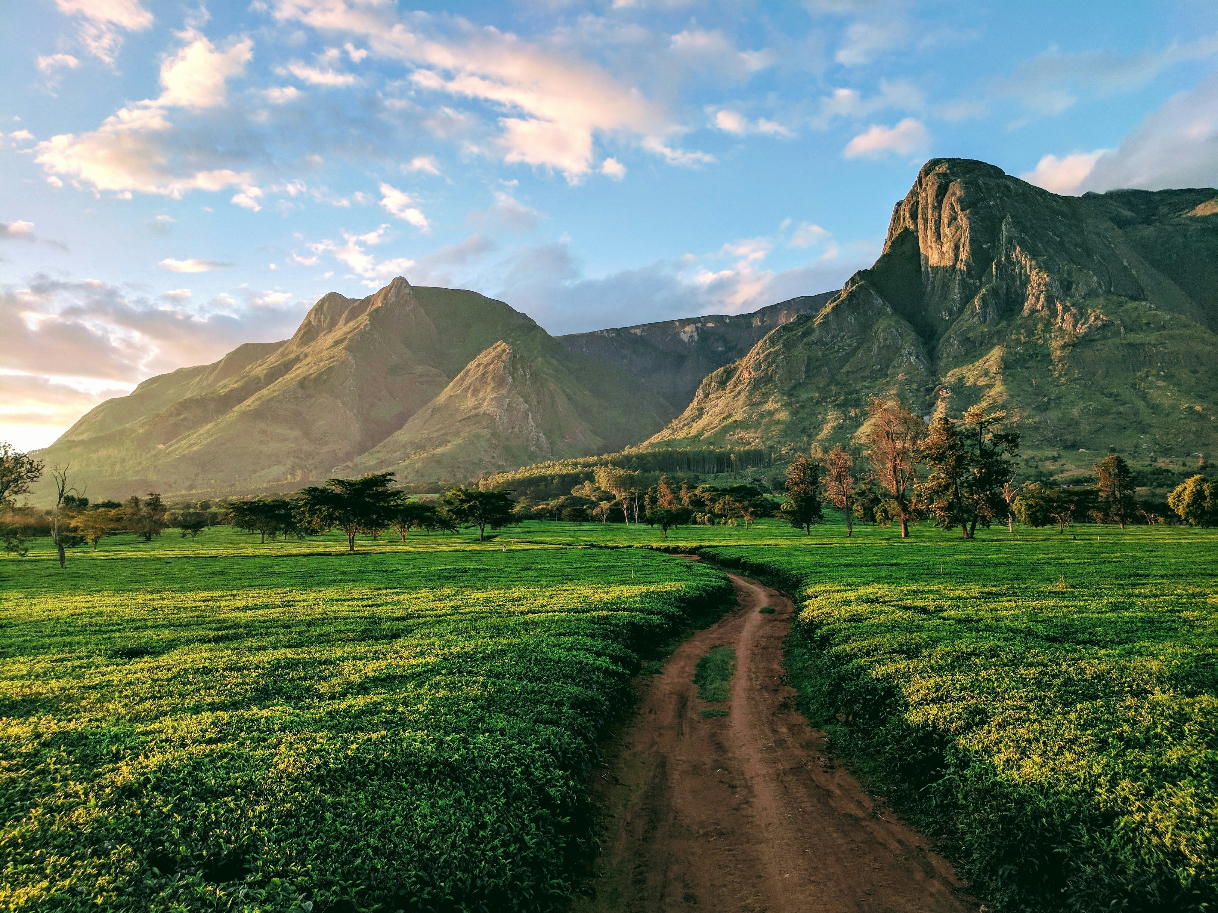 A scenic view of field and mountains against sky in Malawi